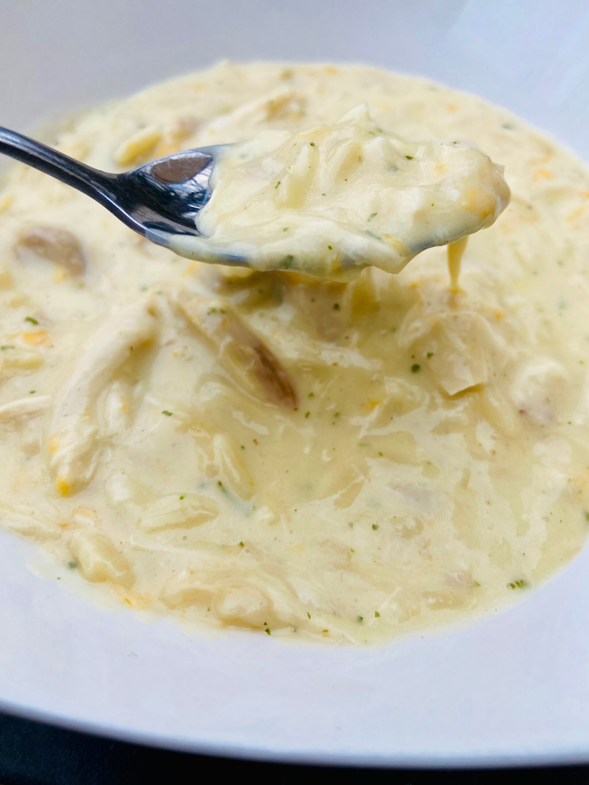 Cheesy Chicken Orzo Soup (Super Easy Version!) - Sugar And Spice Mom Life